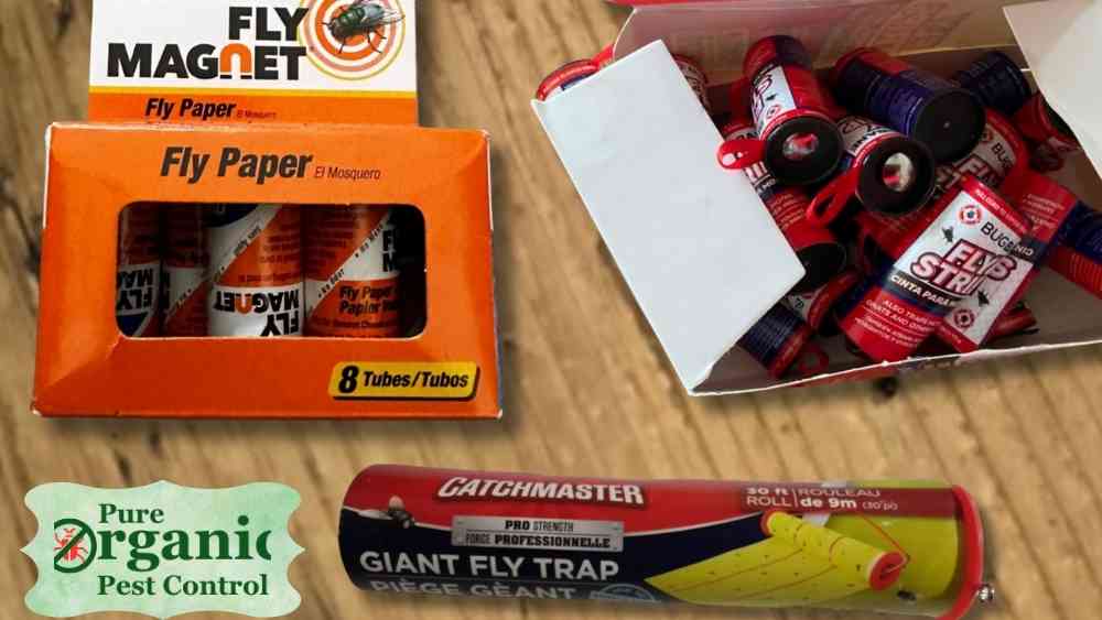 Best Fly Paper Strips