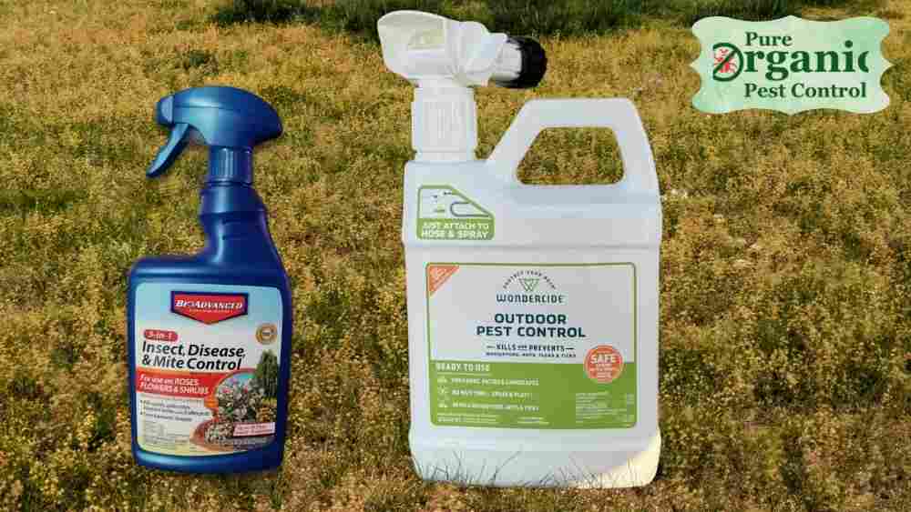 The 5 Best Insecticides and Pesticides of 2025