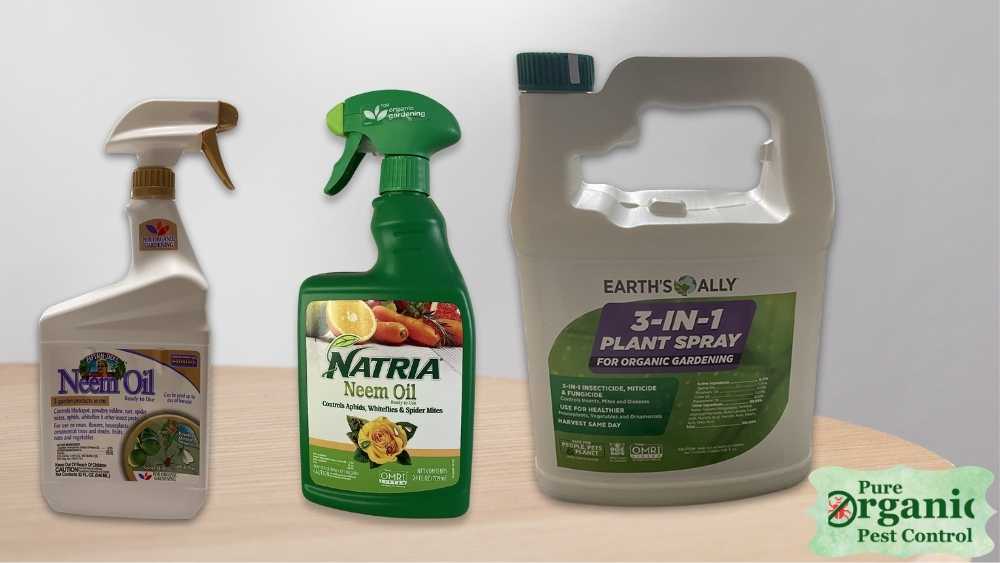 The 5 Best Organic Plant Spray of 2025