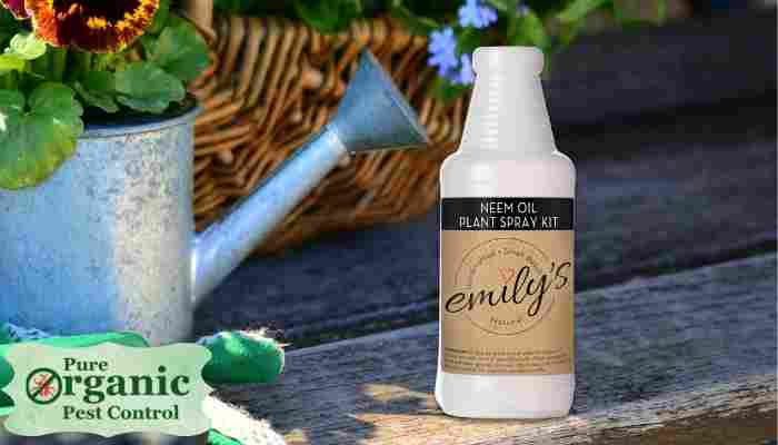 The Organic Plant Spray Emily's Naturals PBN-007652-FBA