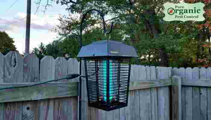 The Insect Zapper Light Flowtron BK-40D