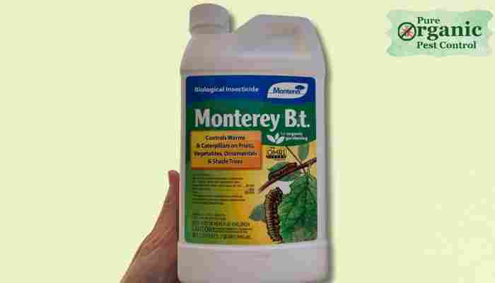 The Organic Plant Spray Monterey LG 6332