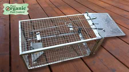 The Electronic Rodent Trap SZHLUX SZ-SL2614X