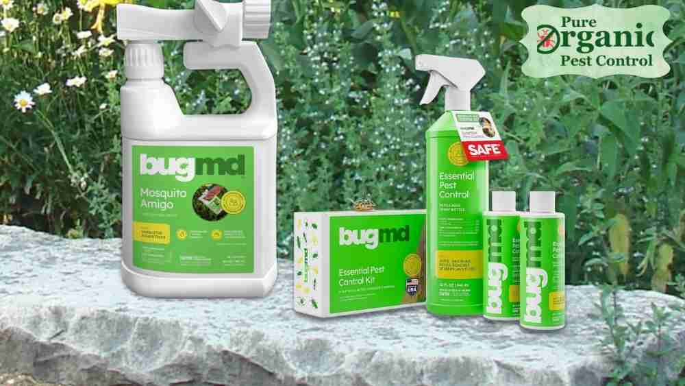 The 5 Best BugMd Ant Killer & Bug Spray of 2025