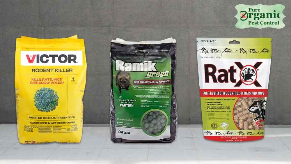 The 5 Best Rodent Poison Pellets of 2025